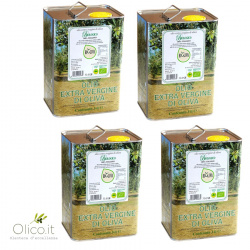 Huile d'olive Extra Vierge Biologique "Bioliva" Morettini 