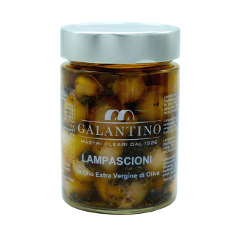 Lampascioni oignons sauvages à l'Huile d'Olive Extra Vierge 320 gr