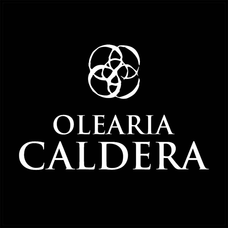 Olearia Caldera